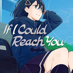 If I Could Reach You
