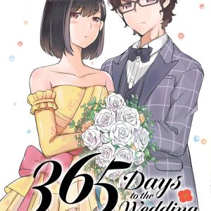 365 days to the wedding 2